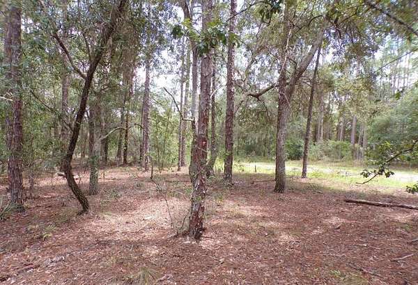 0.23 Acres of Residential Land for Sale in Dunnellon, Florida