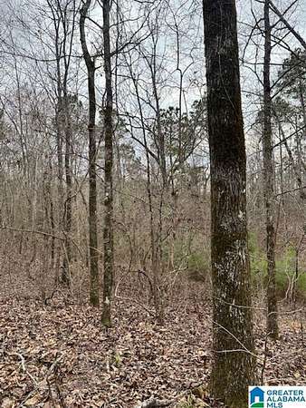 17.5 Acres of Land for Sale in Clanton, Alabama