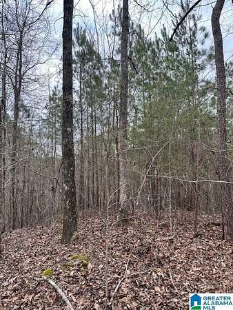 29 Acres of Land for Sale in Clanton, Alabama