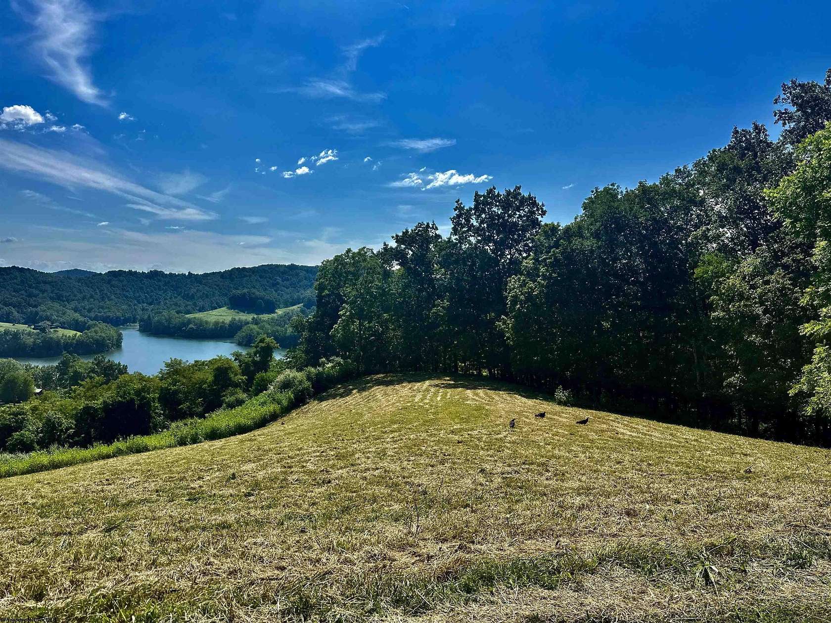3.3 Acres of Residential Land for Sale in Horner, West Virginia