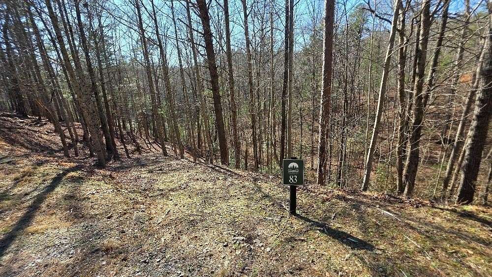 1.34 Acres of Residential Land for Sale in Ellijay, Georgia