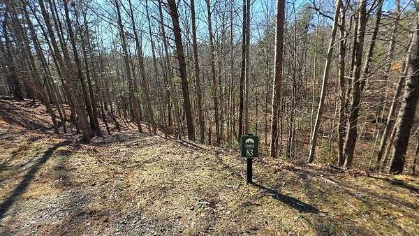 1.34 Acres of Residential Land for Sale in Ellijay, Georgia