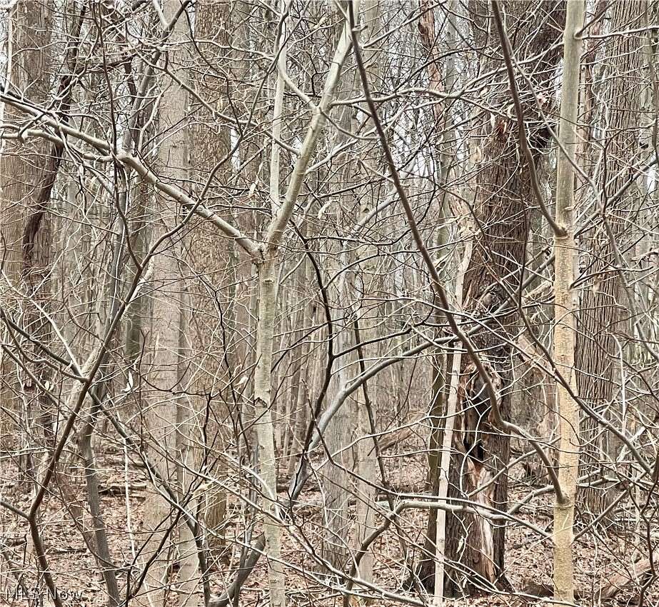 0.2 Acres of Land for Sale in Boardman, Ohio