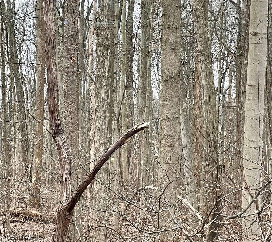 0.2 Acres of Land for Sale in Boardman, Ohio