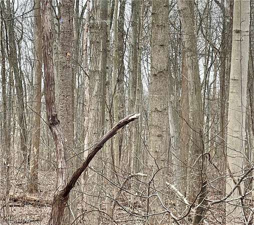 0.2 Acres of Land for Sale in Boardman, Ohio