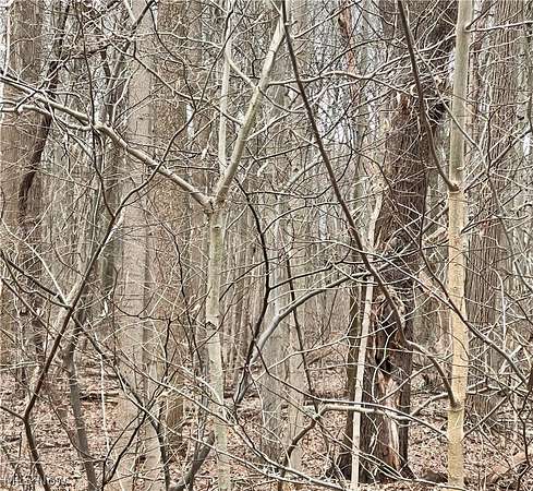 0.2 Acres of Land for Sale in Boardman, Ohio