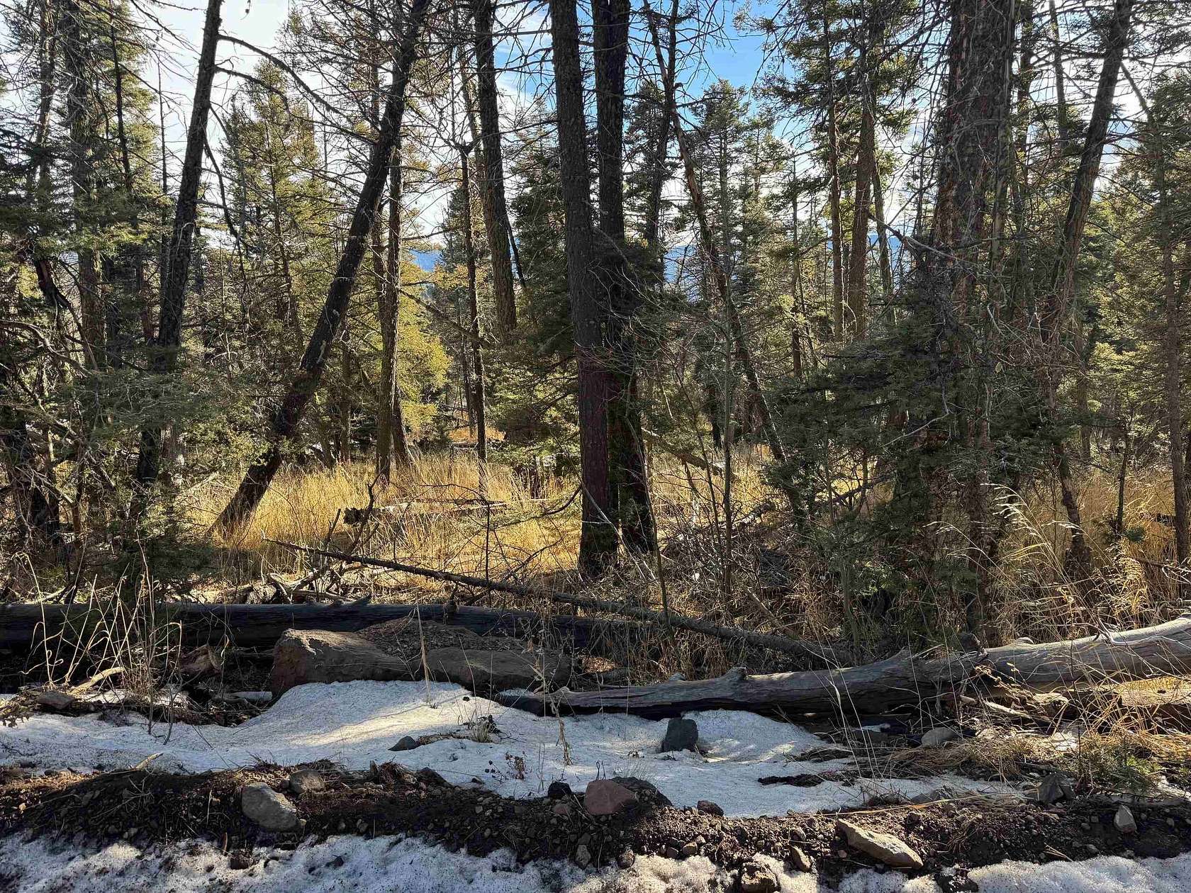 0.78 Acres of Land for Sale in Angel Fire, New Mexico