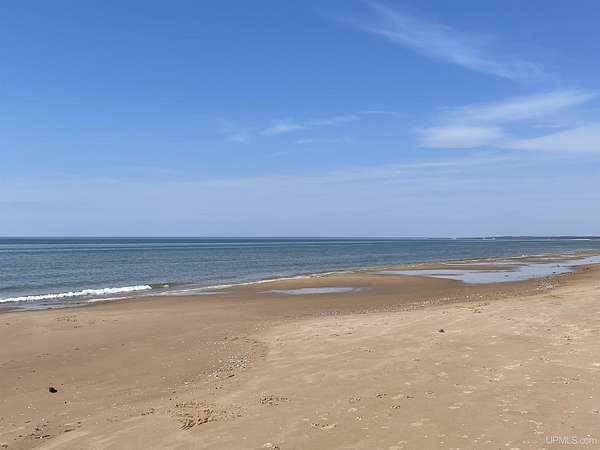 47 Acres of Recreational & Residential Land for Sale in Gulliver, Michigan