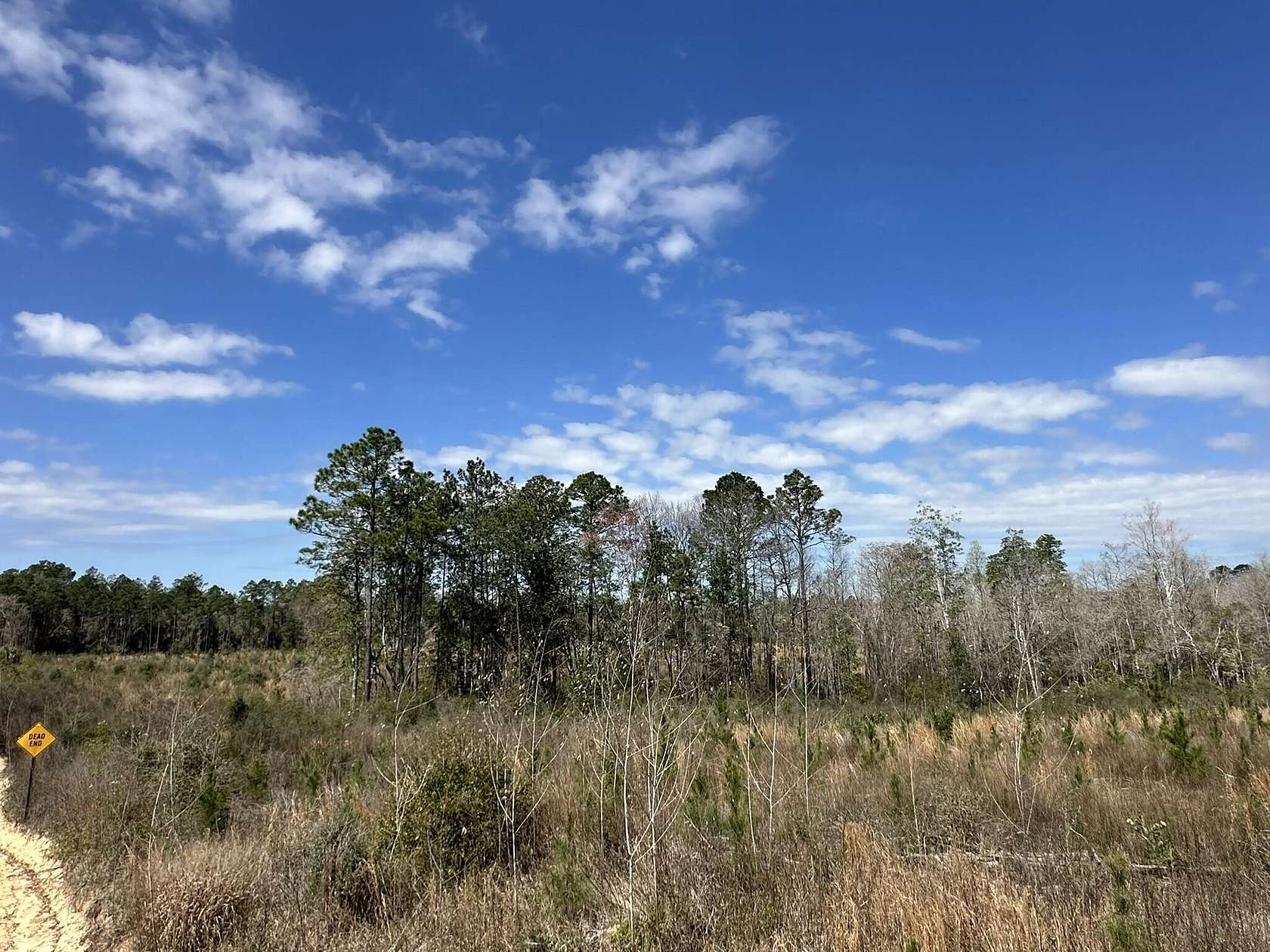 28.7 Acres of Recreational & Residential Land for Sale in Caryville, Florida