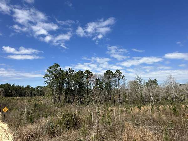 28.7 Acres of Recreational & Residential Land for Sale in Caryville, Florida