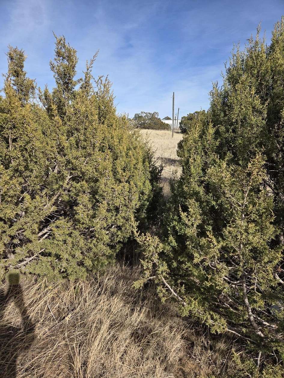 1 Acre of Residential Land for Sale in Edgewood, New Mexico