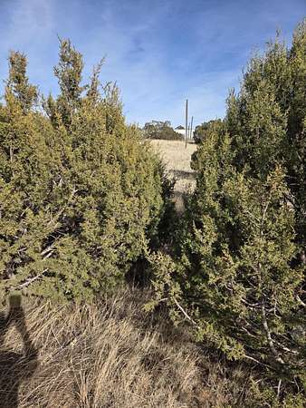 1 Acre of Residential Land for Sale in Edgewood, New Mexico