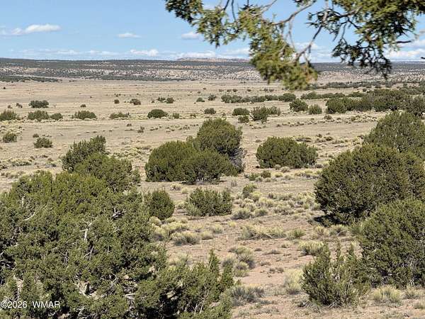 39.8 Acres of Recreational & Residential Land for Sale in St. Johns, Arizona