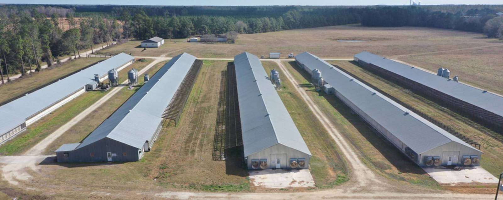 20 Acres of Land for Sale in Palatka, Florida