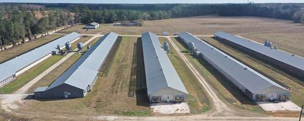 20 Acres of Land for Sale in Palatka, Florida