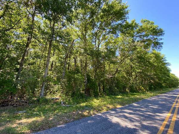10.6 Acres of Land for Sale in Castleberry, Alabama