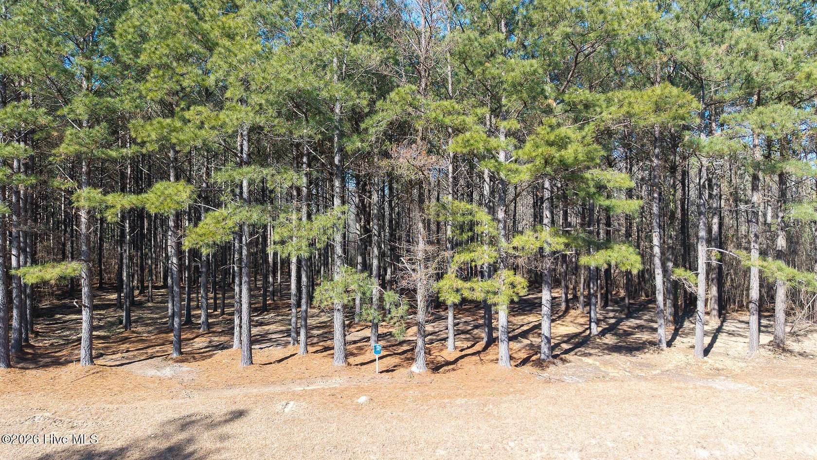 1.32 Acres of Residential Land for Sale in Edenton, North Carolina