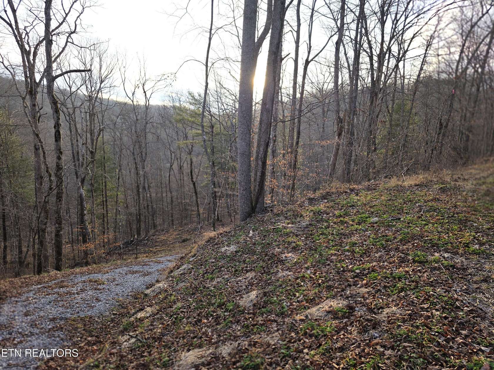 47.2 Acres of Recreational & Residential Land for Sale in Robbins, Tennessee