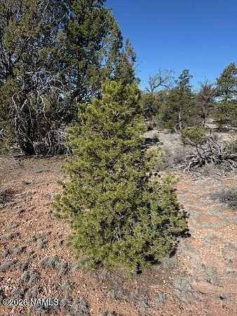 41.6 Acres of Recreational Land for Sale in Williams, Arizona