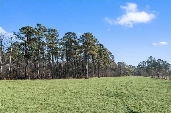 9.19 Acres of Land for Sale in Amite, Louisiana