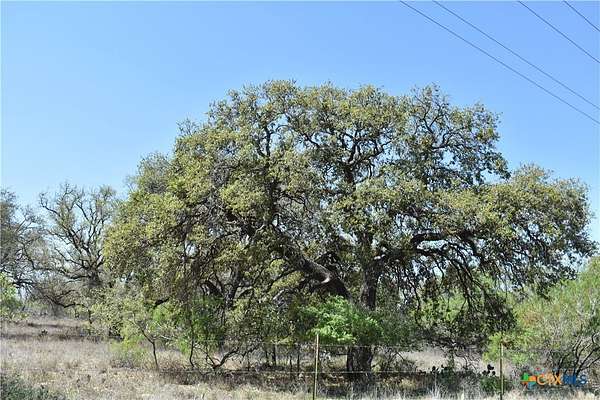 40 Acres of Improved Recreational Land for Sale in Poteet, Texas