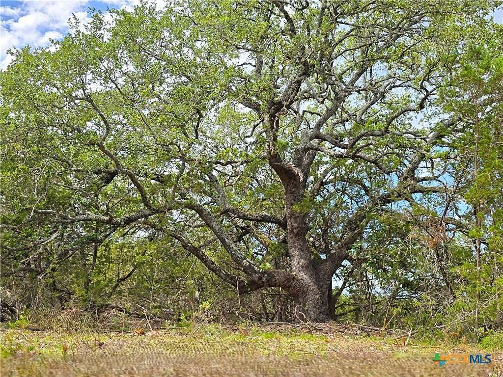 15 Acres of Land for Sale in Burnet, Texas