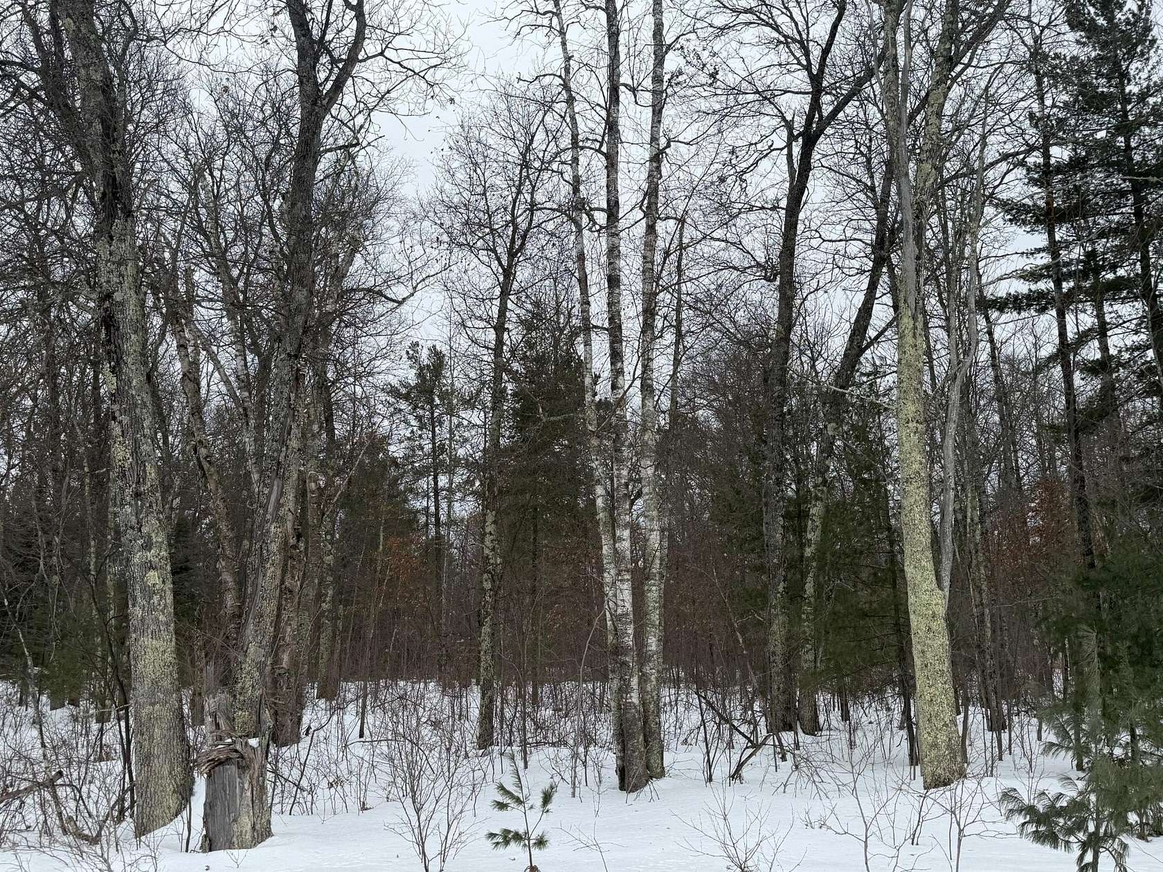 2 Acres of Land for Sale in Lac du Flambeau, Wisconsin