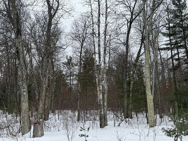 2 Acres of Land for Sale in Lac du Flambeau, Wisconsin