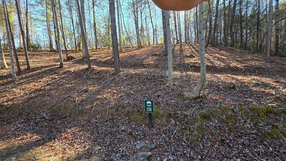0.75 Acres of Residential Land for Sale in Ellijay, Georgia