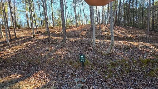 0.75 Acres of Residential Land for Sale in Ellijay, Georgia