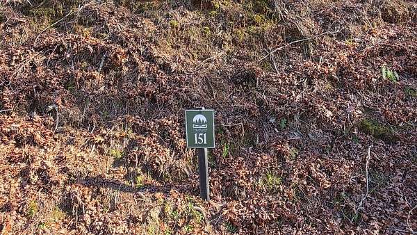 0.75 Acres of Residential Land for Sale in Ellijay, Georgia