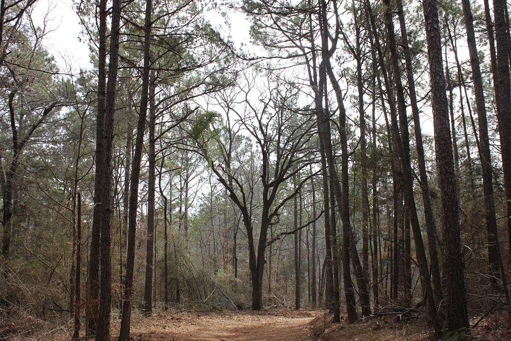 248 Acres of Recreational & Residential Land for Sale in Douglass, Texas