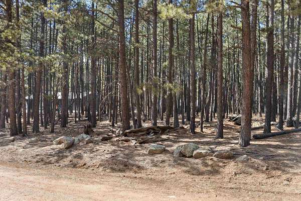 0.5 Acres of Residential Land for Sale in Angel Fire, New Mexico