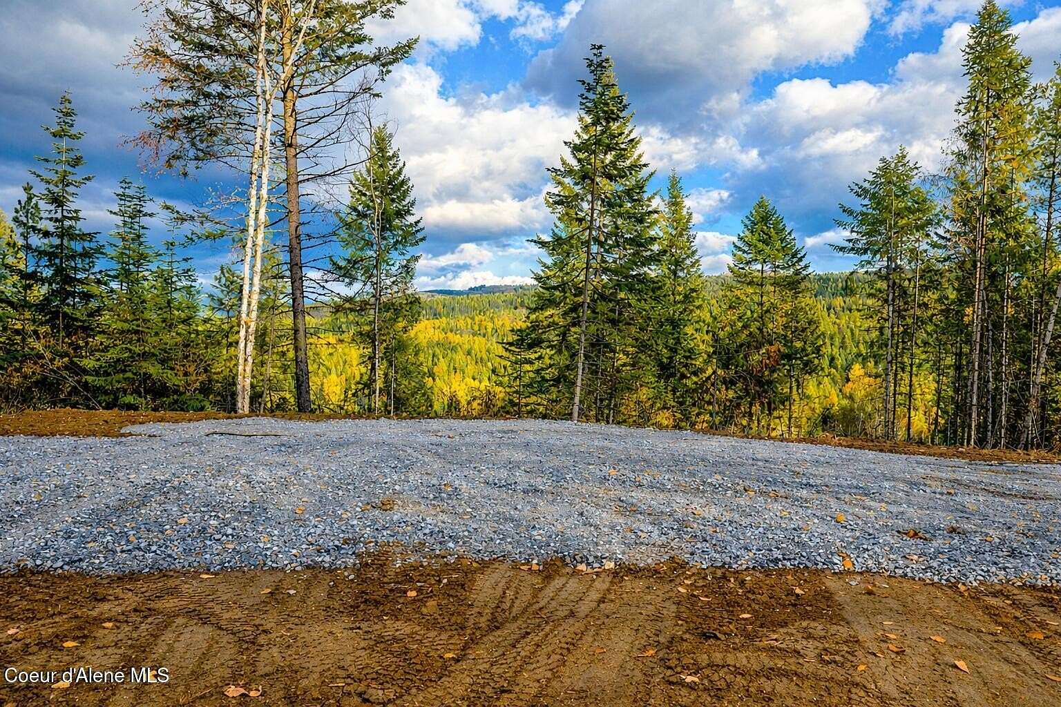 20 Acres of Land for Sale in Careywood, Idaho