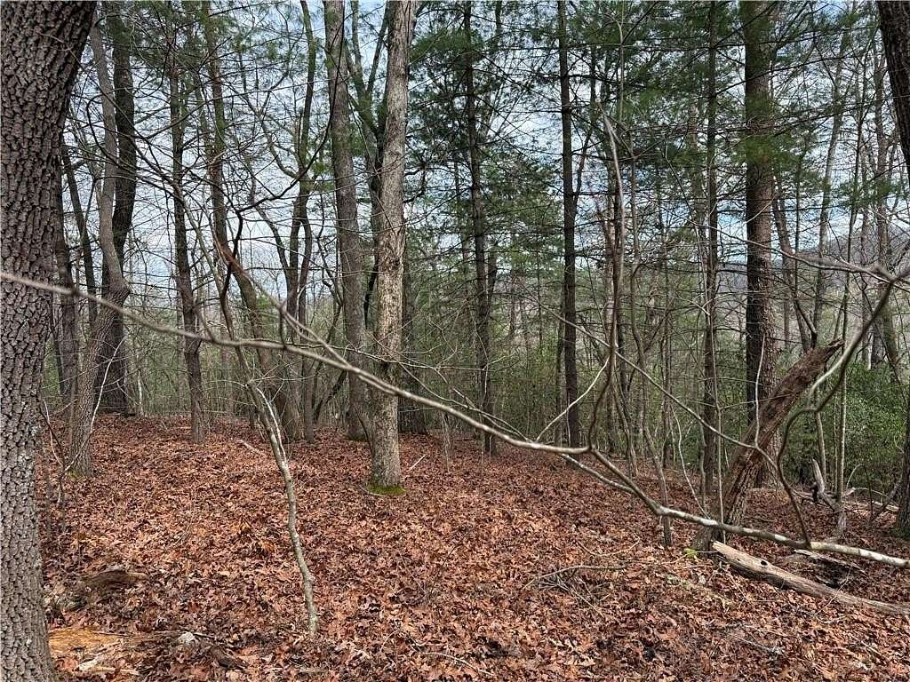 2.1 Acres of Residential Land for Sale in Ellijay, Georgia