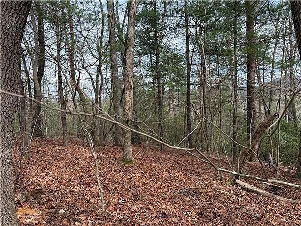 2.1 Acres of Residential Land for Sale in Ellijay, Georgia