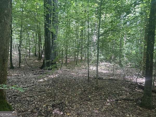 8.54 Acres of Land for Sale in Carrollton, Georgia