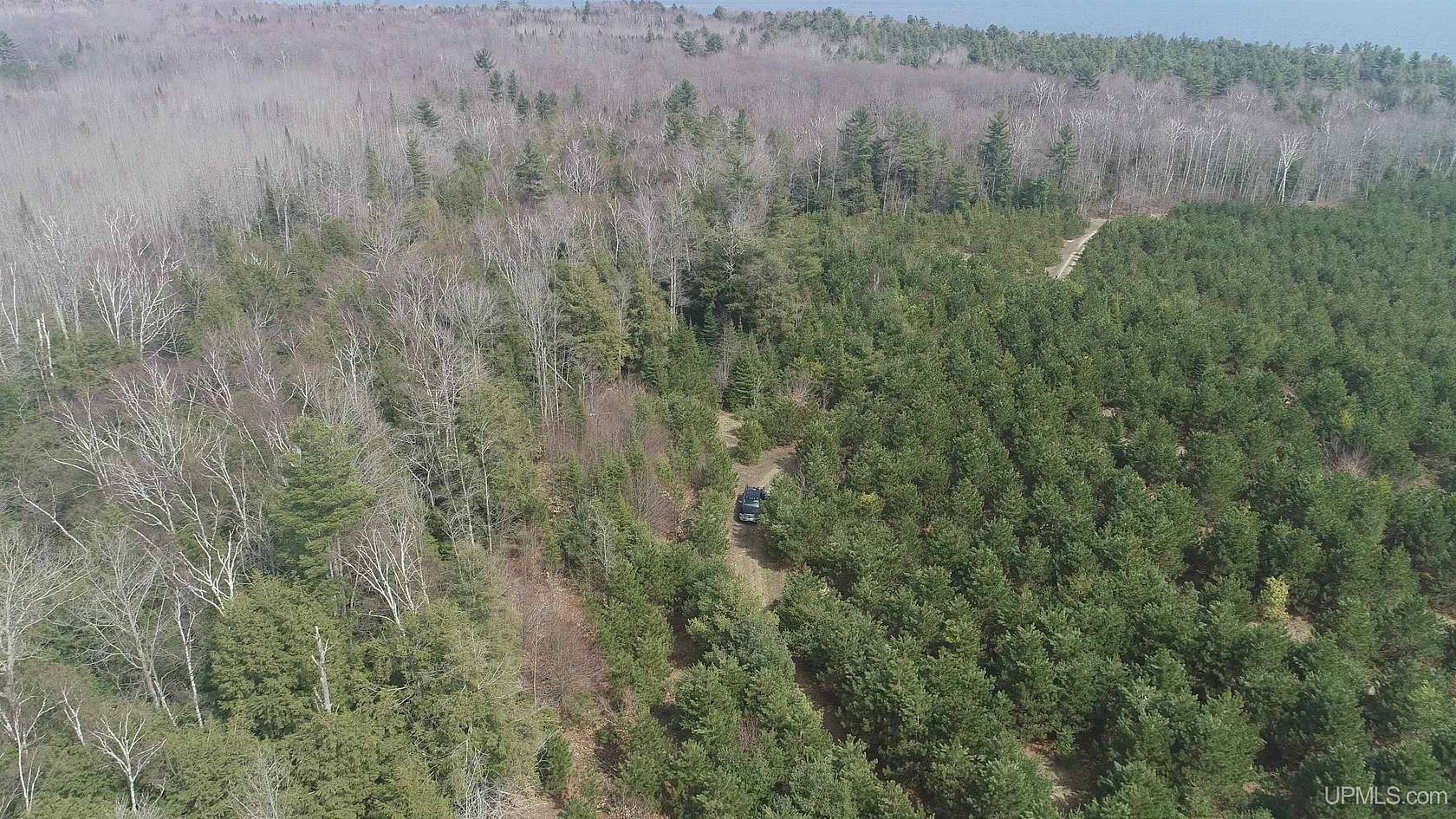 40 Acres of Land for Sale in Manistique, Michigan