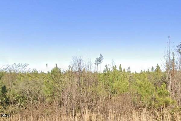 1 Acre of Residential Land for Sale in Spring Hope, North Carolina