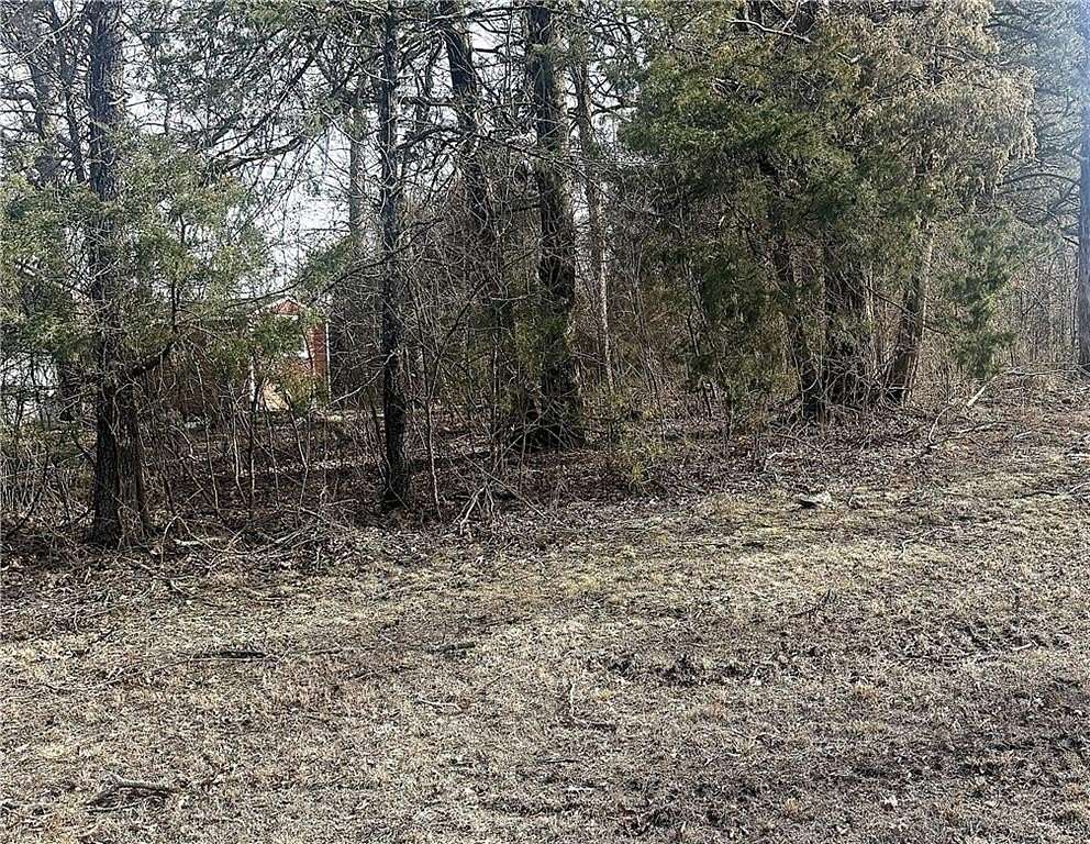 0.37 Acres of Land for Sale in Diamond City, Arkansas