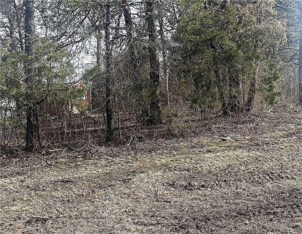 0.37 Acres of Land for Sale in Diamond City, Arkansas