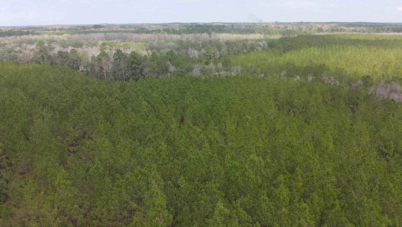 36 Acres of Recreational Land for Sale in Caryville, Florida