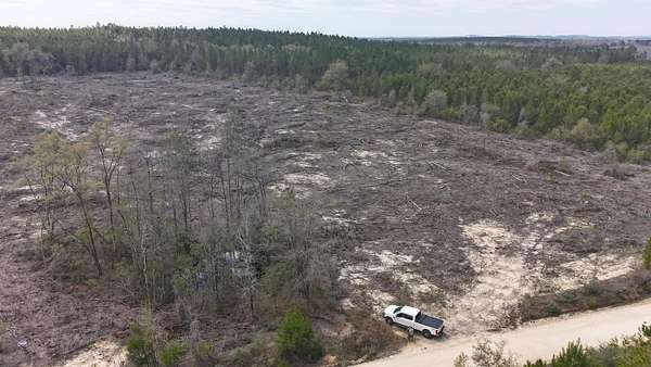 36 Acres of Recreational Land for Sale in Caryville, Florida