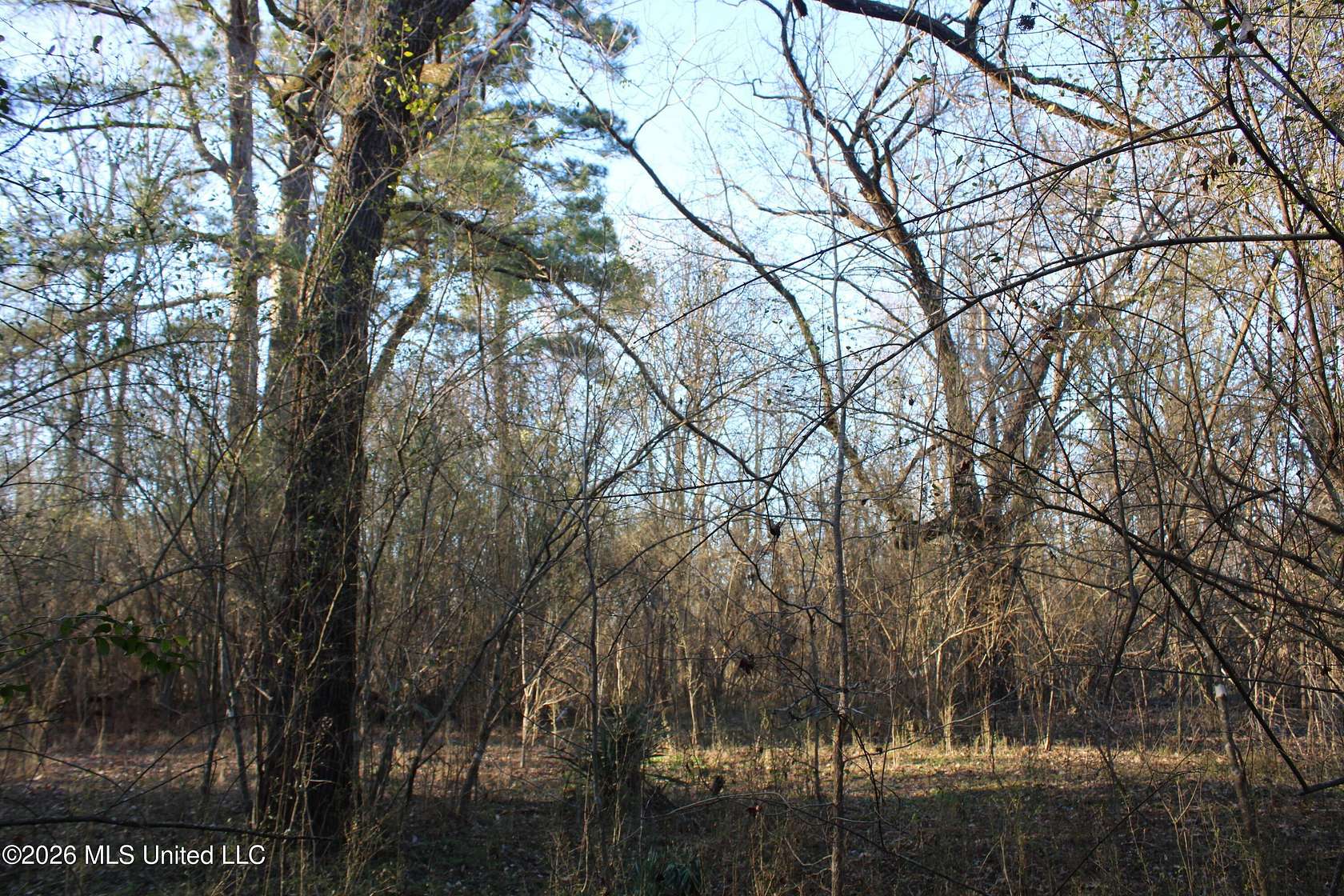 1.9 Acres of Residential Land for Sale in Olive Branch, Mississippi