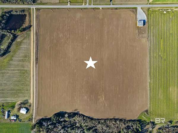 38 Acres of Land for Sale in Elberta, Alabama