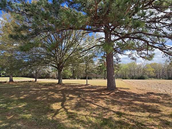 0.2 Acres of Residential Land for Sale in Trinity, Texas