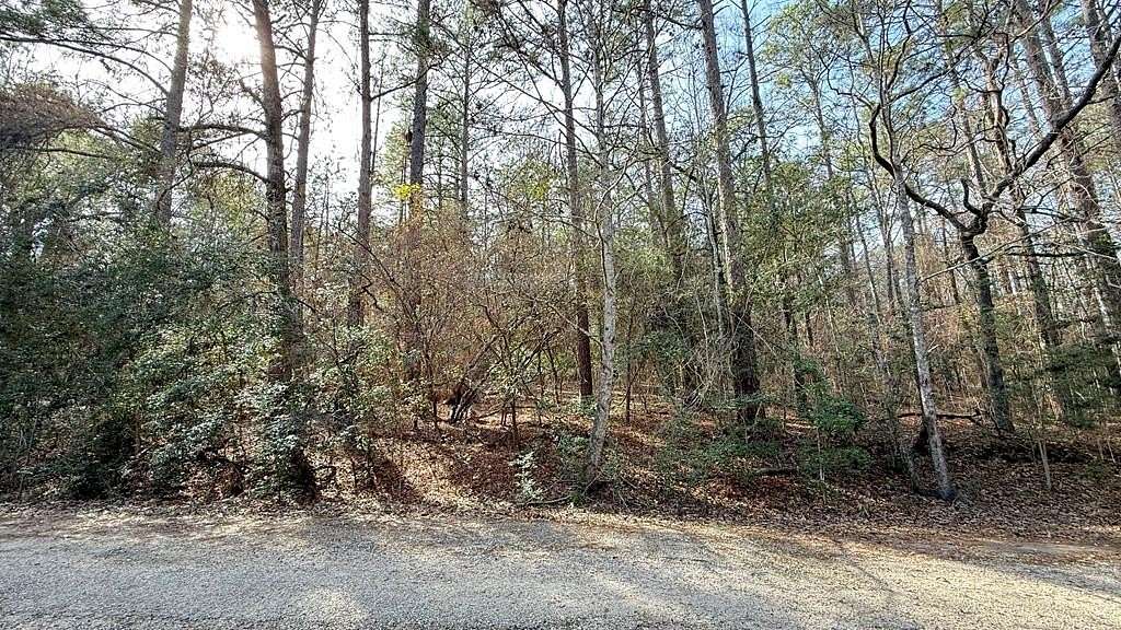 0.17 Acres of Residential Land for Sale in Brookeland, Texas