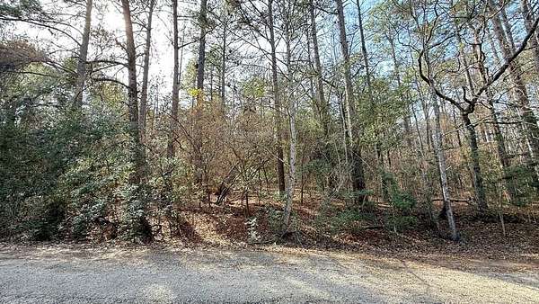 0.17 Acres of Residential Land for Sale in Brookeland, Texas