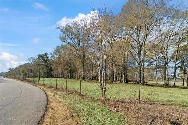 11 Acres of Land for Sale in Amite, Louisiana