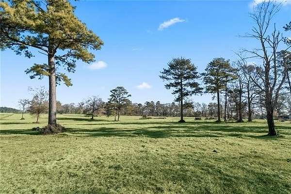10.7 Acres of Land for Sale in Amite, Louisiana